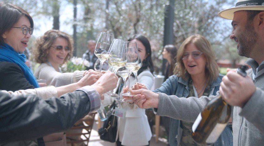 Wines of Argentina
